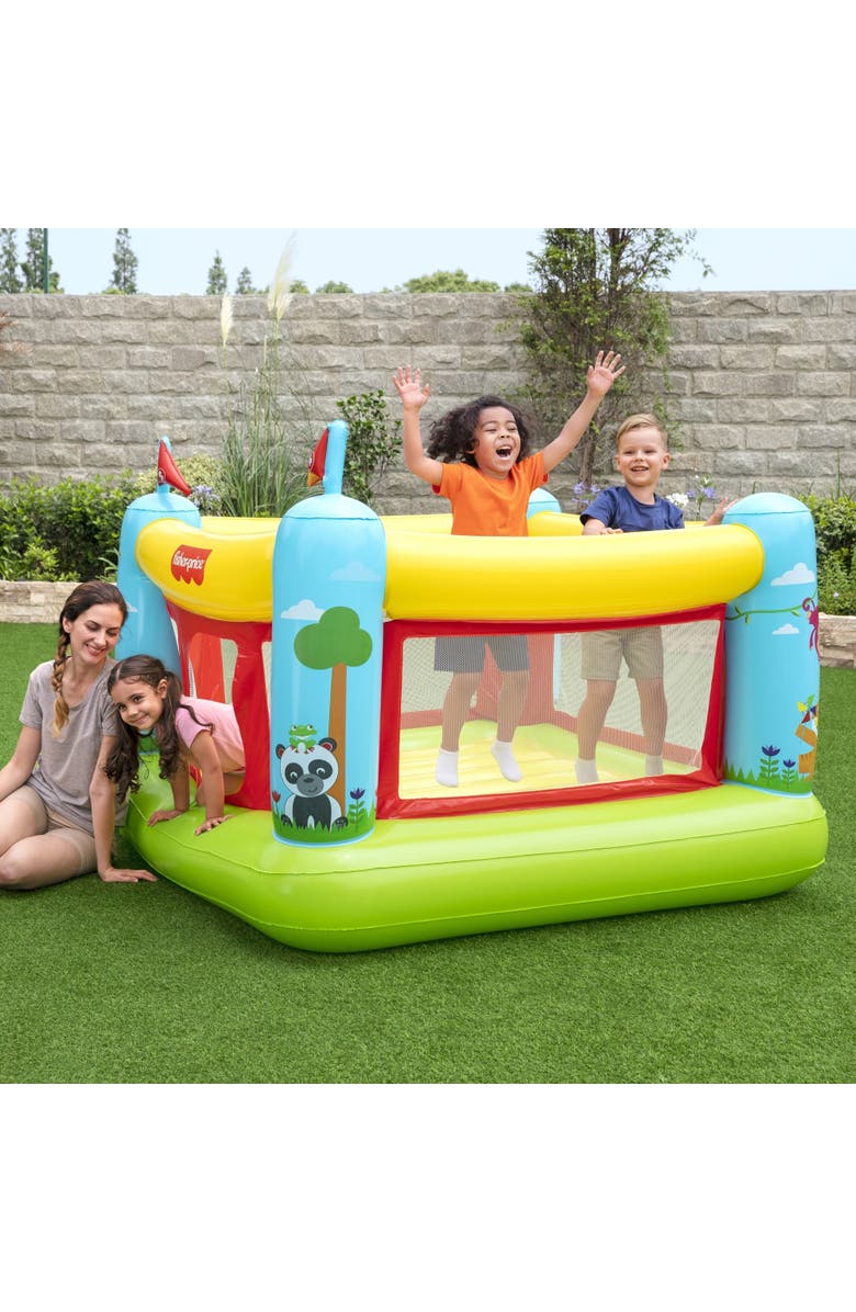 Fisher-Price Fisherprice Bouncetastic Bouncer, Alternate, color, Multicolored