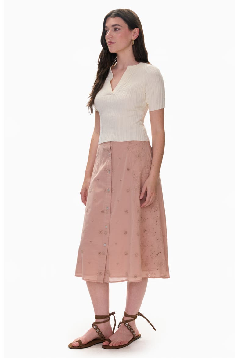 Gabrielle Embroidered Skirt, Alternate, color, Desert Rose