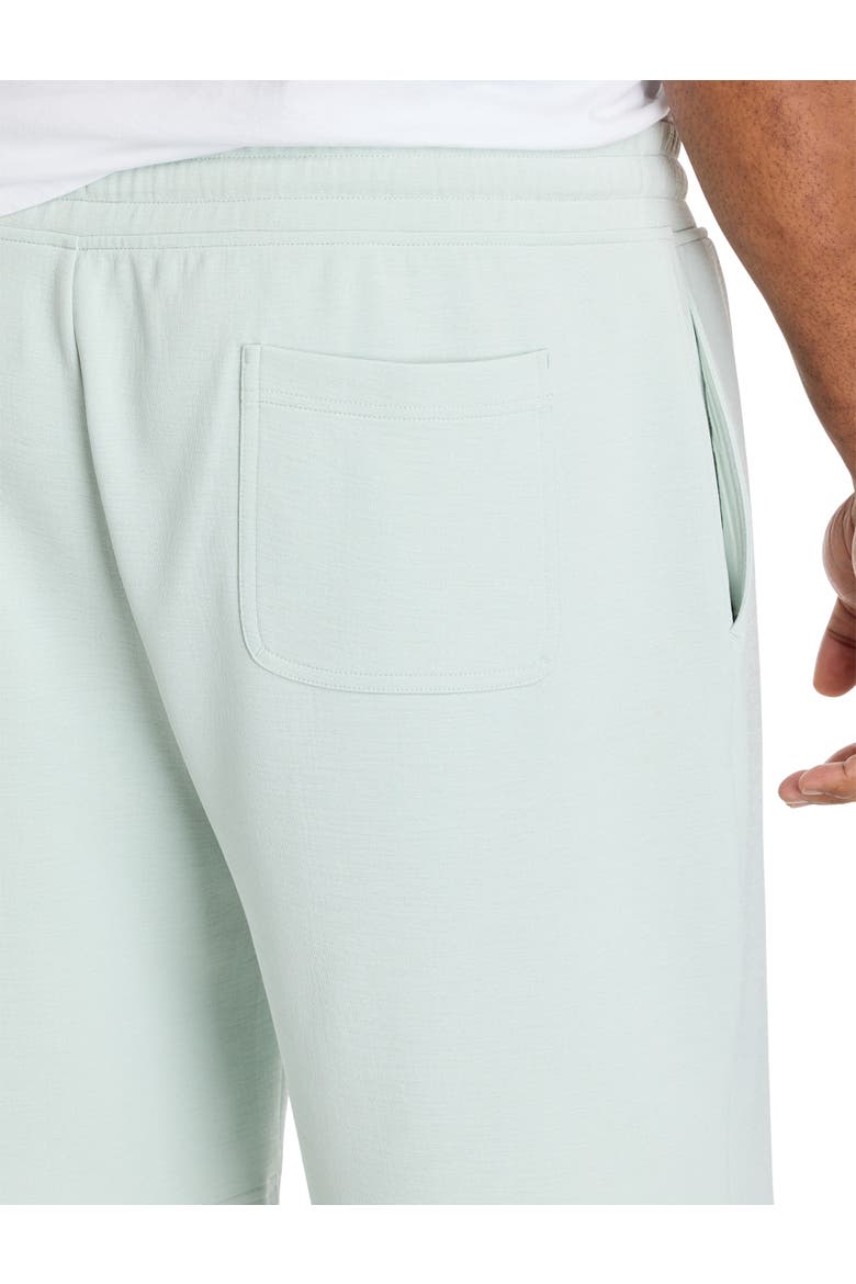 Big & Tall Textured Shorts V2, Alternate, color, MINT