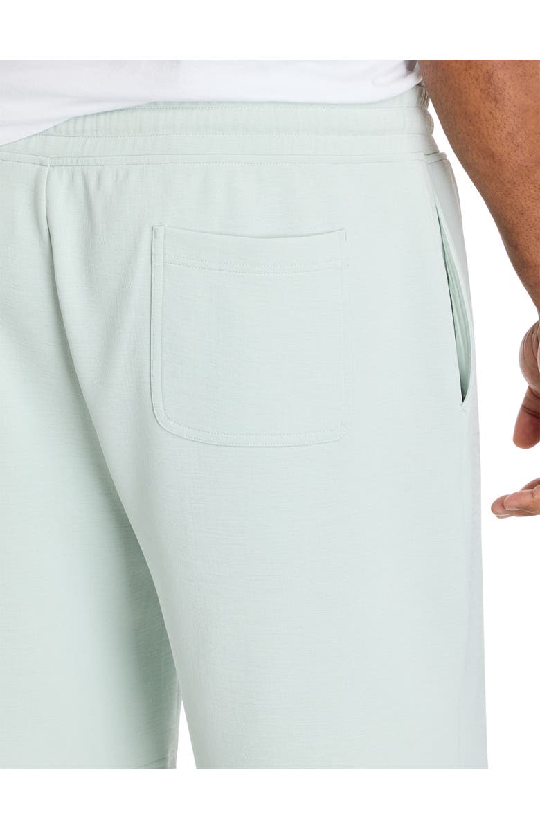 Society of One by DXL Big & Tall Textured Shorts V2, Alternate, color, Mint