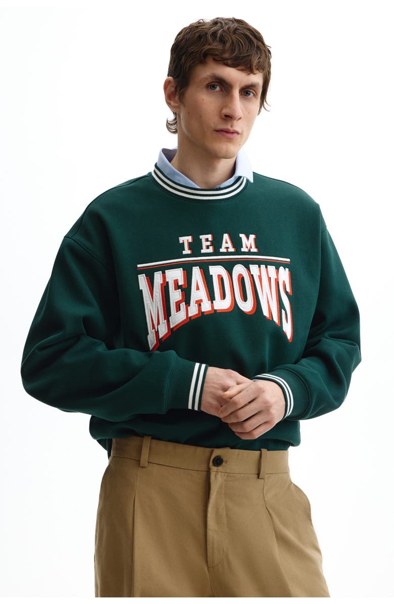 H&M Loose Fit Printed Sweatshirt, Alternate, color, Dark Green/Team Meadows