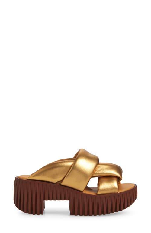 4ccccees Plia Semo Platform Sandal In Gold