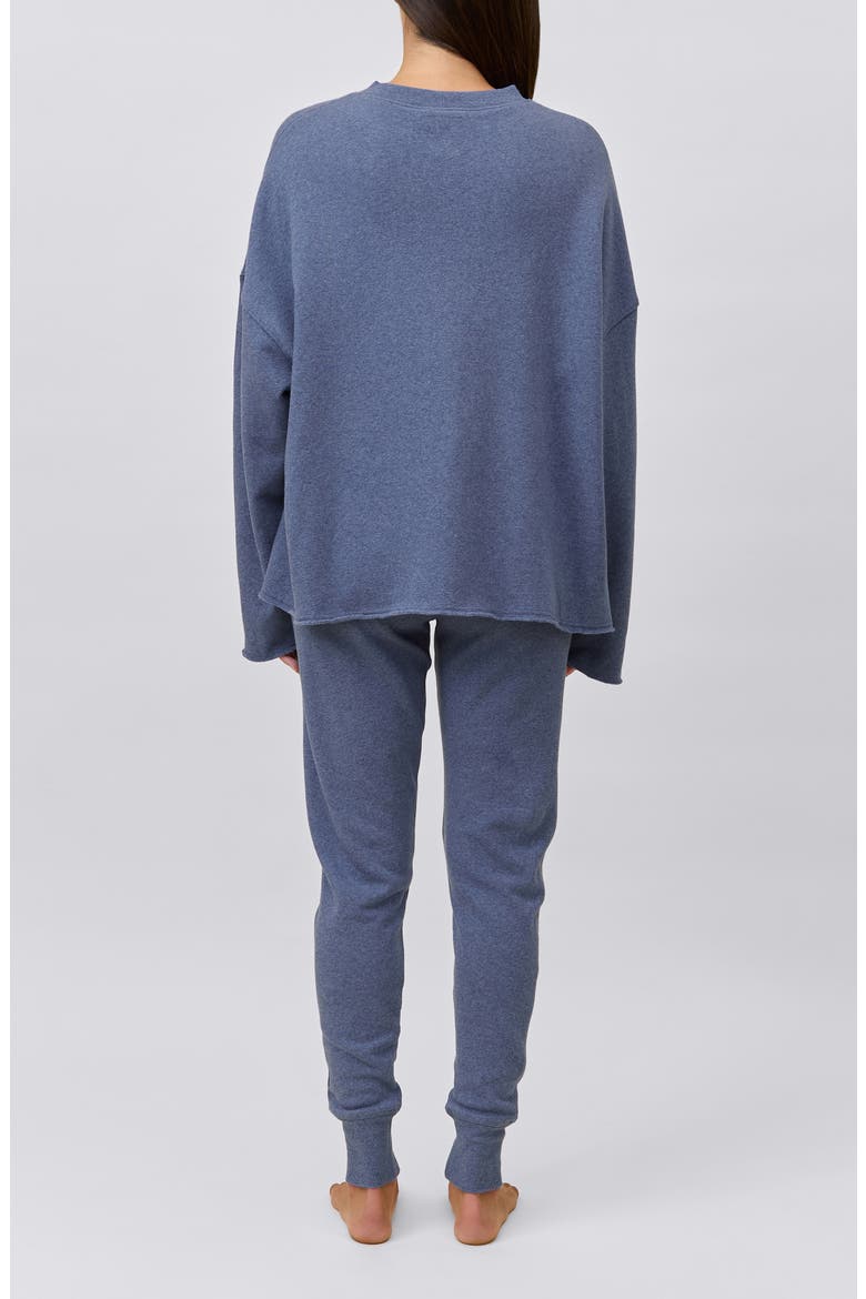 Organic Cotton Pajamas, Alternate, color, STEEL BLUE