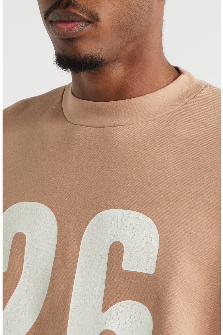 Relaxed Crewneck Sweatshirt, Alternate, color, WASHED GINGER