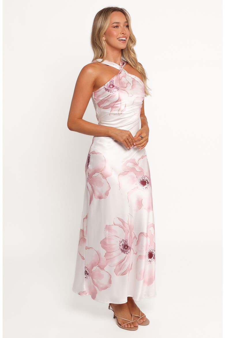Regina Floral Stain Maxi Dress, Alternate, color, PINK FLORAL