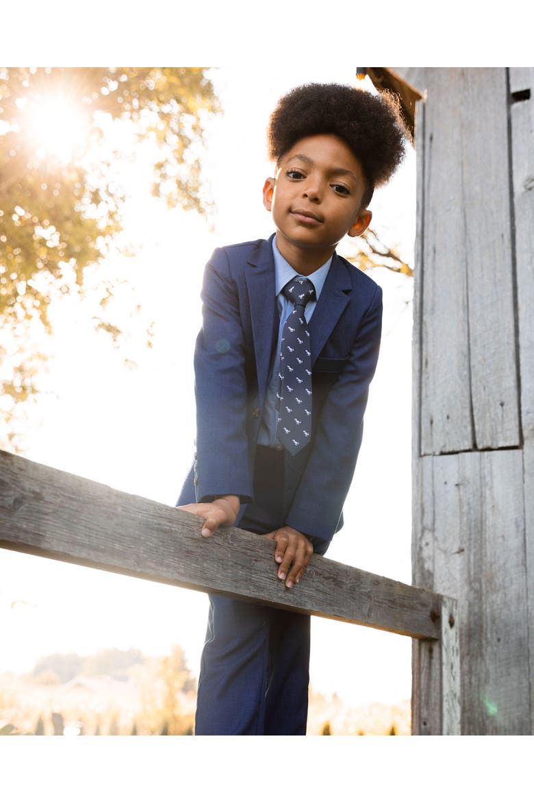 Little Boy's Long Sleeve Button Down Shirt Pale Blue, Alternate, color, Pale Blue