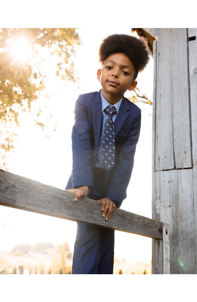 Deux par Deux Boy's Long Sleeve Button Down Shirt Pale Blue, Alternate, color, 