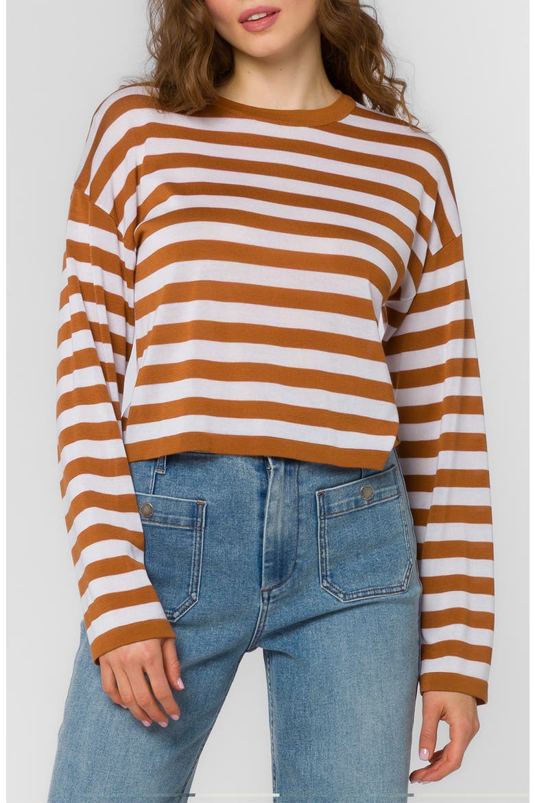 Rumi Crop Long Sleeve T-Shirt, Main, color, CINNAMON
