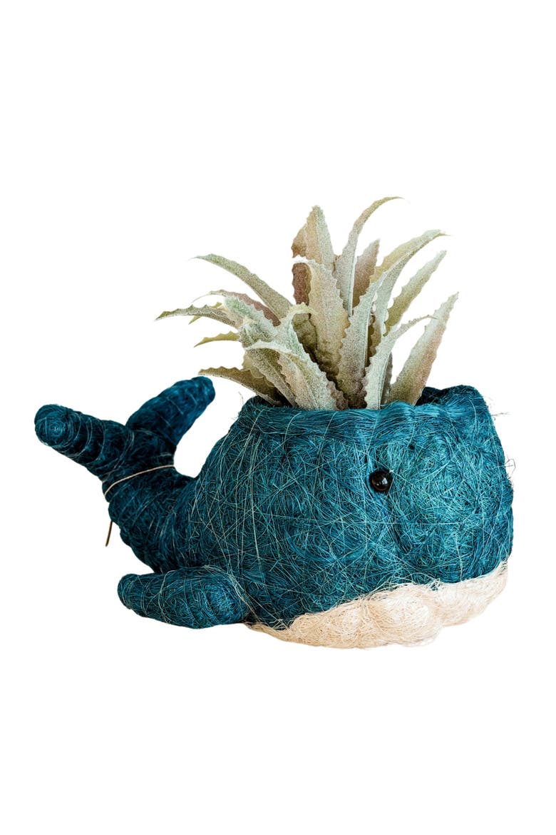 Aquatic Animal Coco Coir Planters, Main, color, Blue