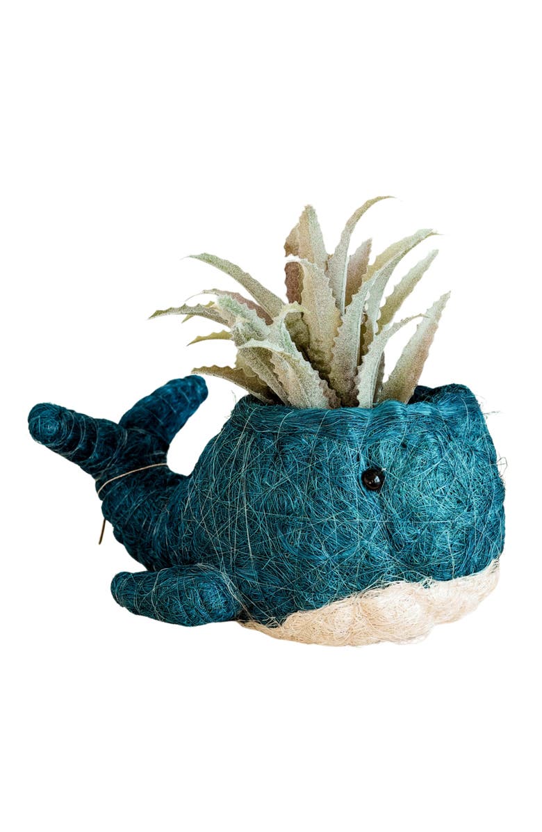 LIKHA Aquatic Animal Coco Coir Planters, Main, color, Blue