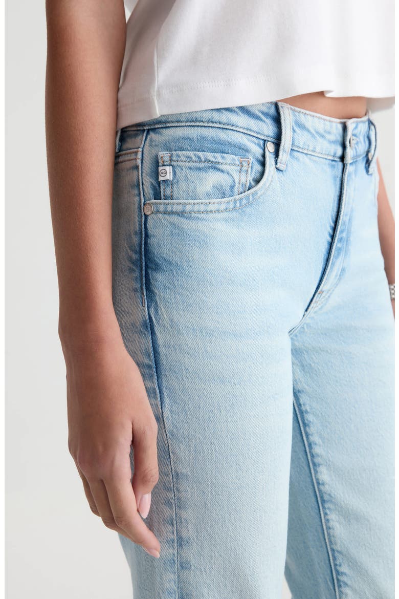 Sandra Low Rise Slim Straight Leg Jeans, Alternate, color, HARVEST