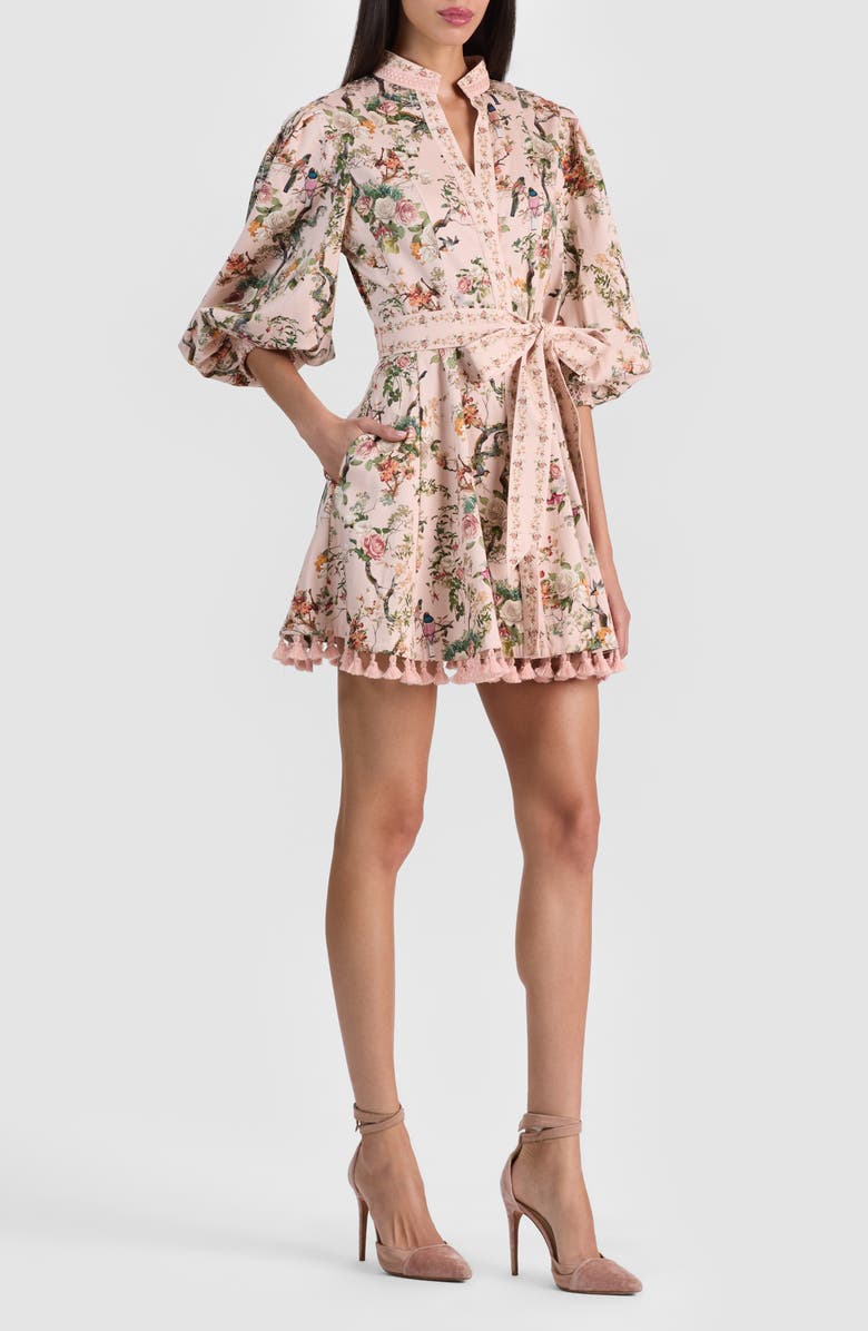 Alice + Olivia Lucy Floral Print Tie Waist Minidress, Alternate, color, Sunset Grove English Rose