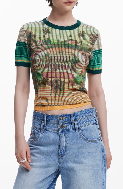 Stripe Scenic Rib Graphic T-Shirt