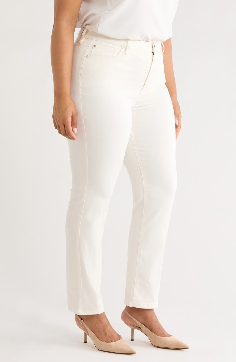 Anne Klein Leo Straight Leg Jeans, Alternate, color, White Dove