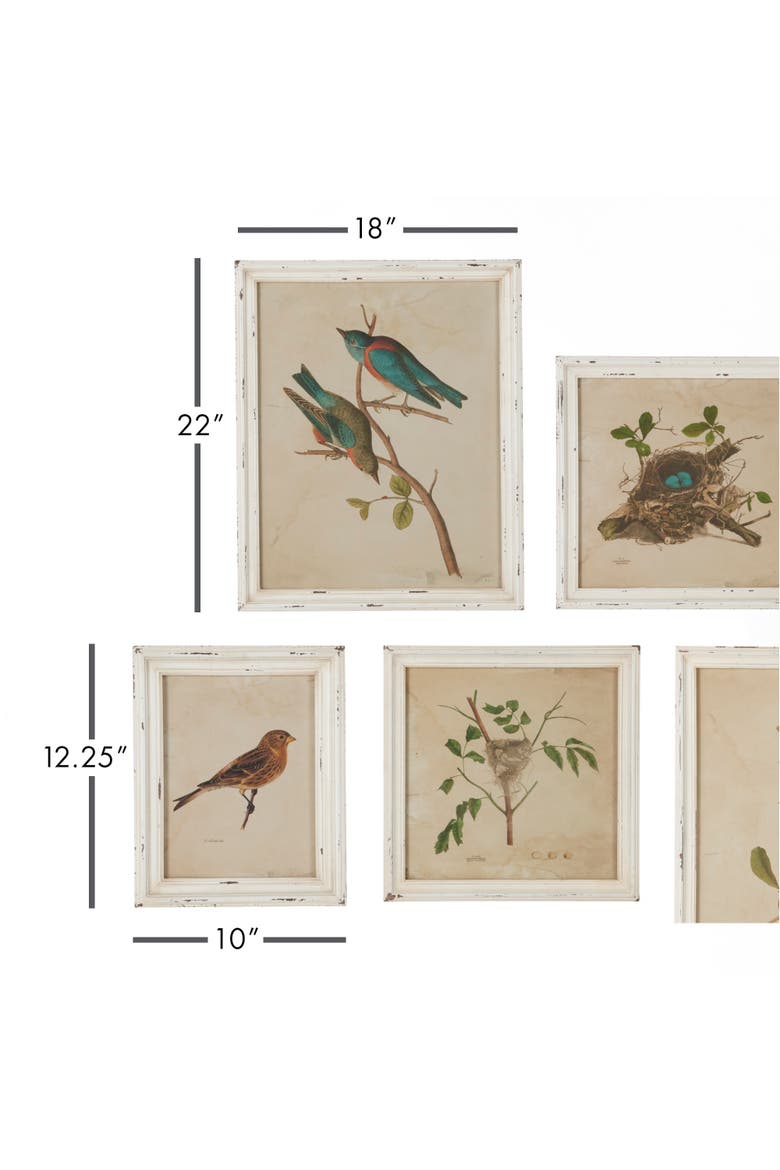 Framed Aviary Bird & Nest Habitat Prints Set of 9, Alternate, color, Off-White
