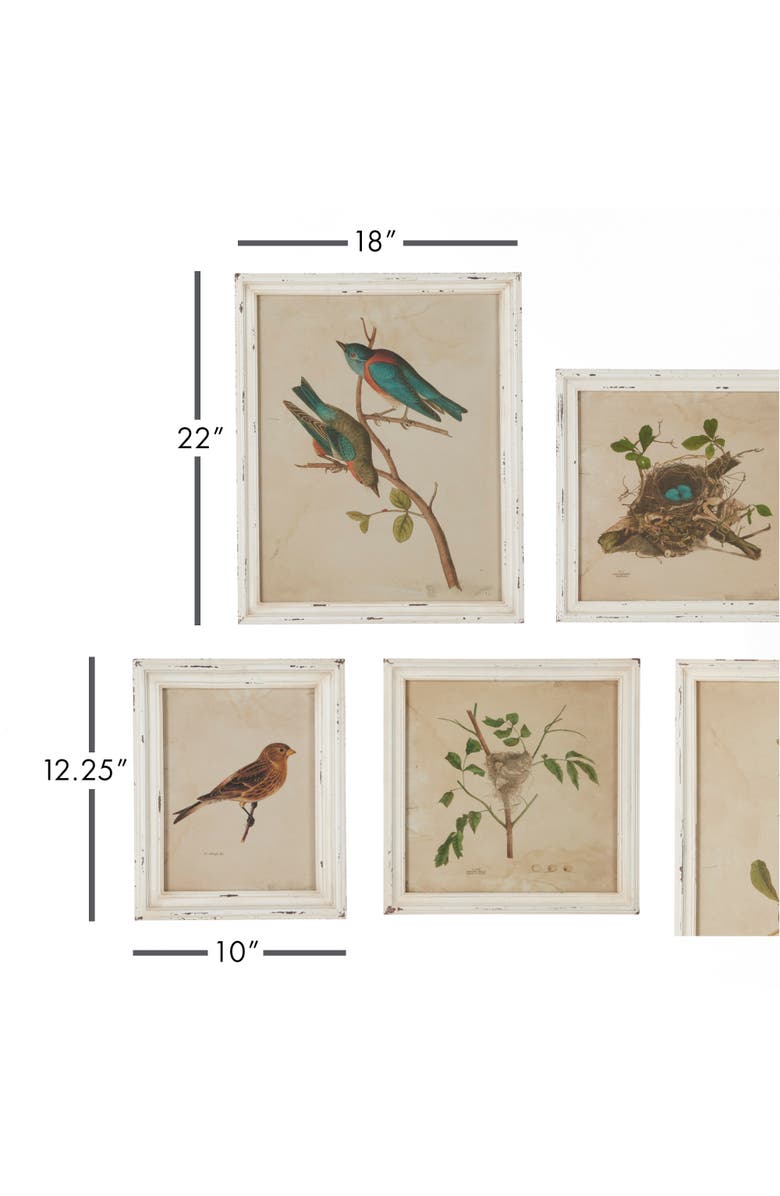 Napa Home & Garden Framed Aviary Bird & Nest Habitat Prints Set of 9, Alternate, color, Off-White