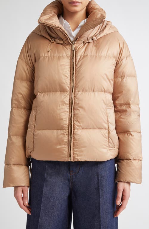 Max Mara Trebi Down Hooded Jacket In Brown