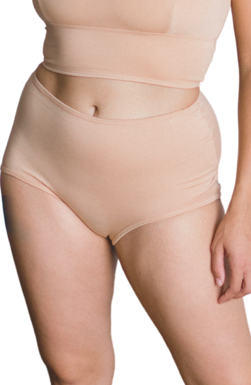 Proclaim Organic Cotton High Rise Brief In Multi