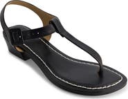 Bernardo Goya T-Strap Sandal