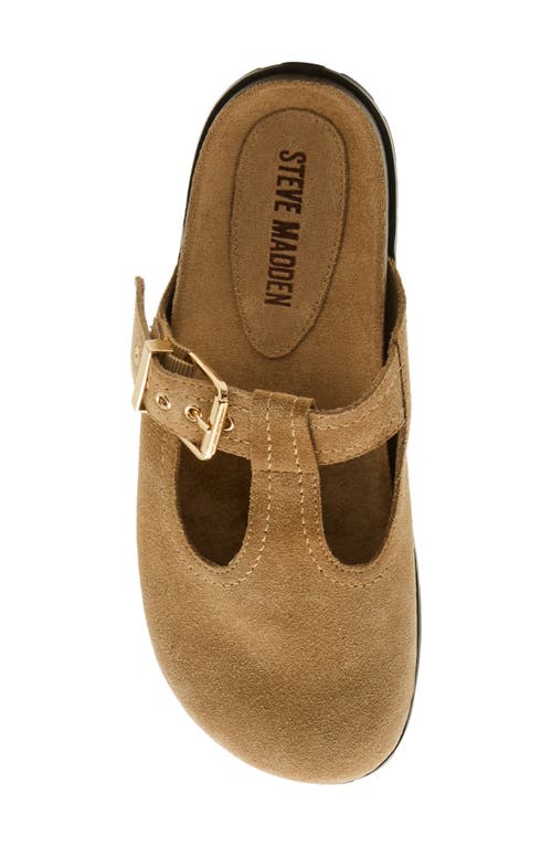 Steve Madden Atticus Clog In Taupe Suede