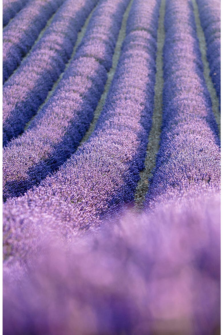 Lavender Shea Sugar Scrub, Alternate, color, white