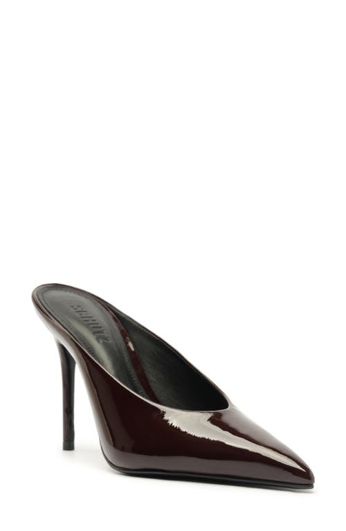 Schutz Loren Pointed Toe Pump In Brown