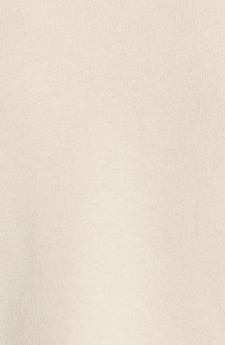 Madewell Garment Dyed Funnel Neck Sweatshirt, Alternate, color, 