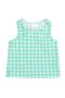 selected Spring Green Gingham