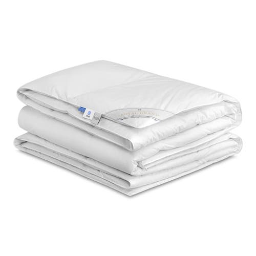 Togas Royal Grand Goose Down Comforter In Multi