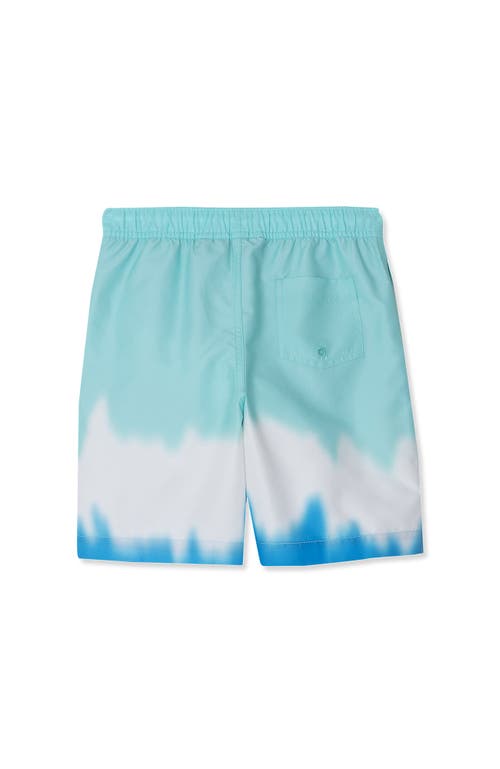 LANDS' END LANDS' END BOYS PRINT SWIM TRUNKS