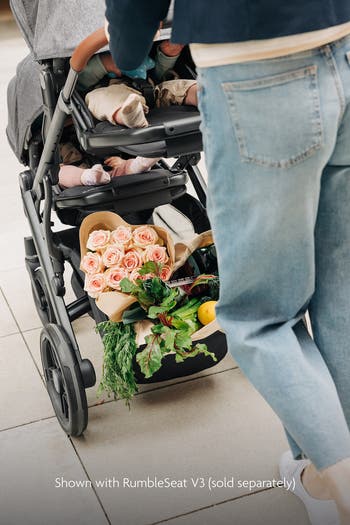 VISTA V3 Stroller