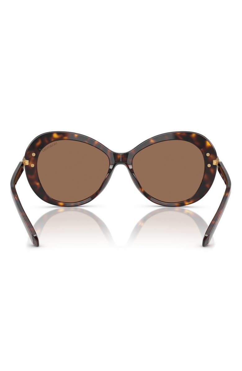 Swarovski 56mm Butterfly Sunglasses, Alternate, color, Havana