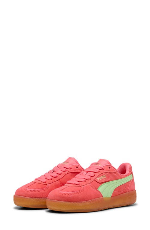 PUMA PUMA PALERMO MODA XTRA GUM RUBBER SNEAKER