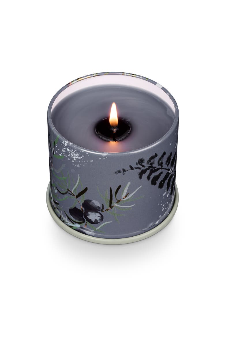 ILLUME<sup>®</sup> Vanity Tin Candle, Alternate, color, Blue