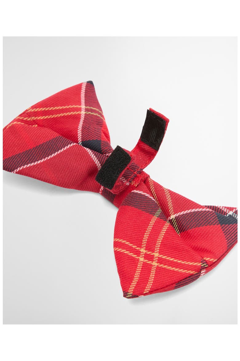 Tartan Dog Bow Tie, Alternate, color, CARDINAL TARTAN