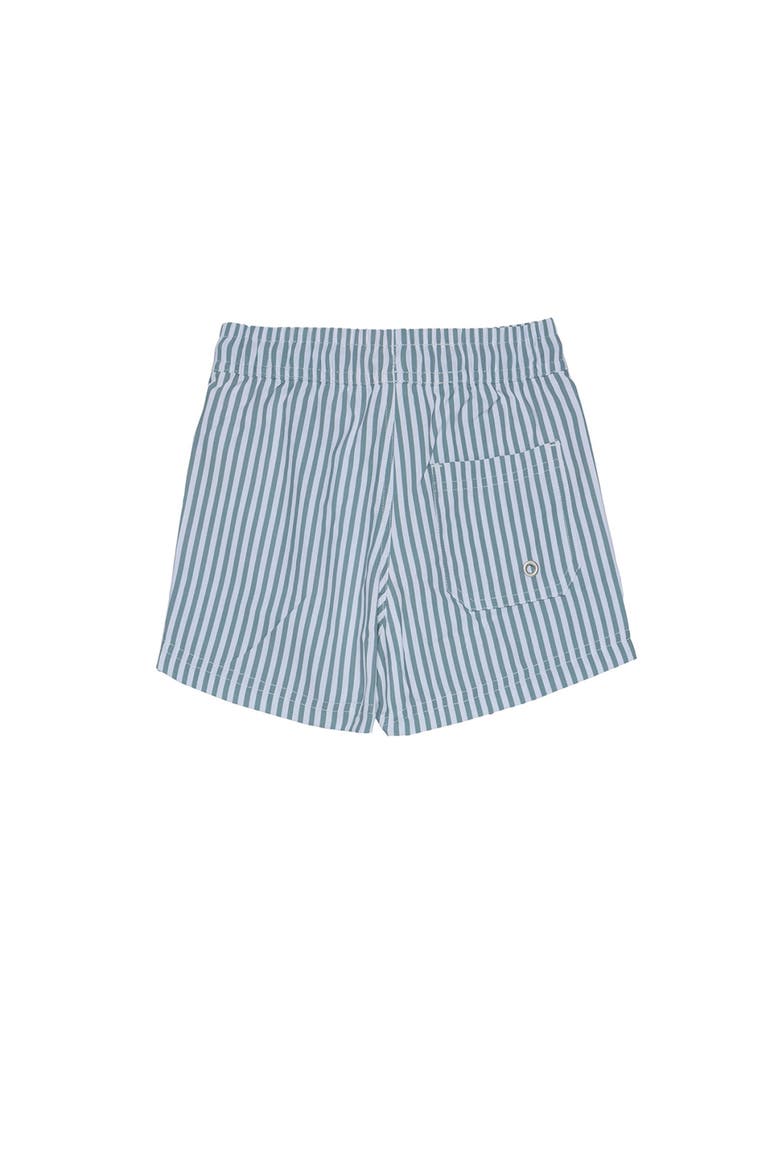 Beach Scout Drawstring Swim Shorts, Alternate, color, White-Green