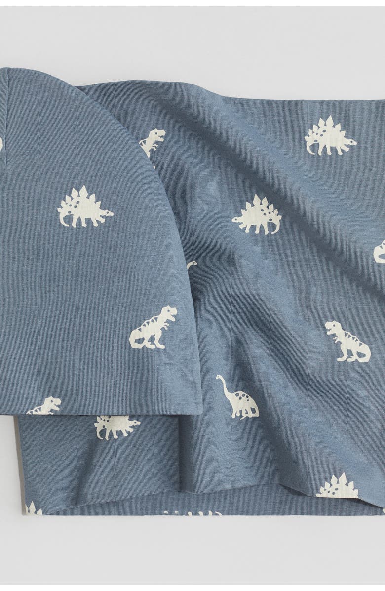 H&M 2-piece Beanie And Tube Scarf Set, Alternate, color, Dusty Blue/Dinosaurs
