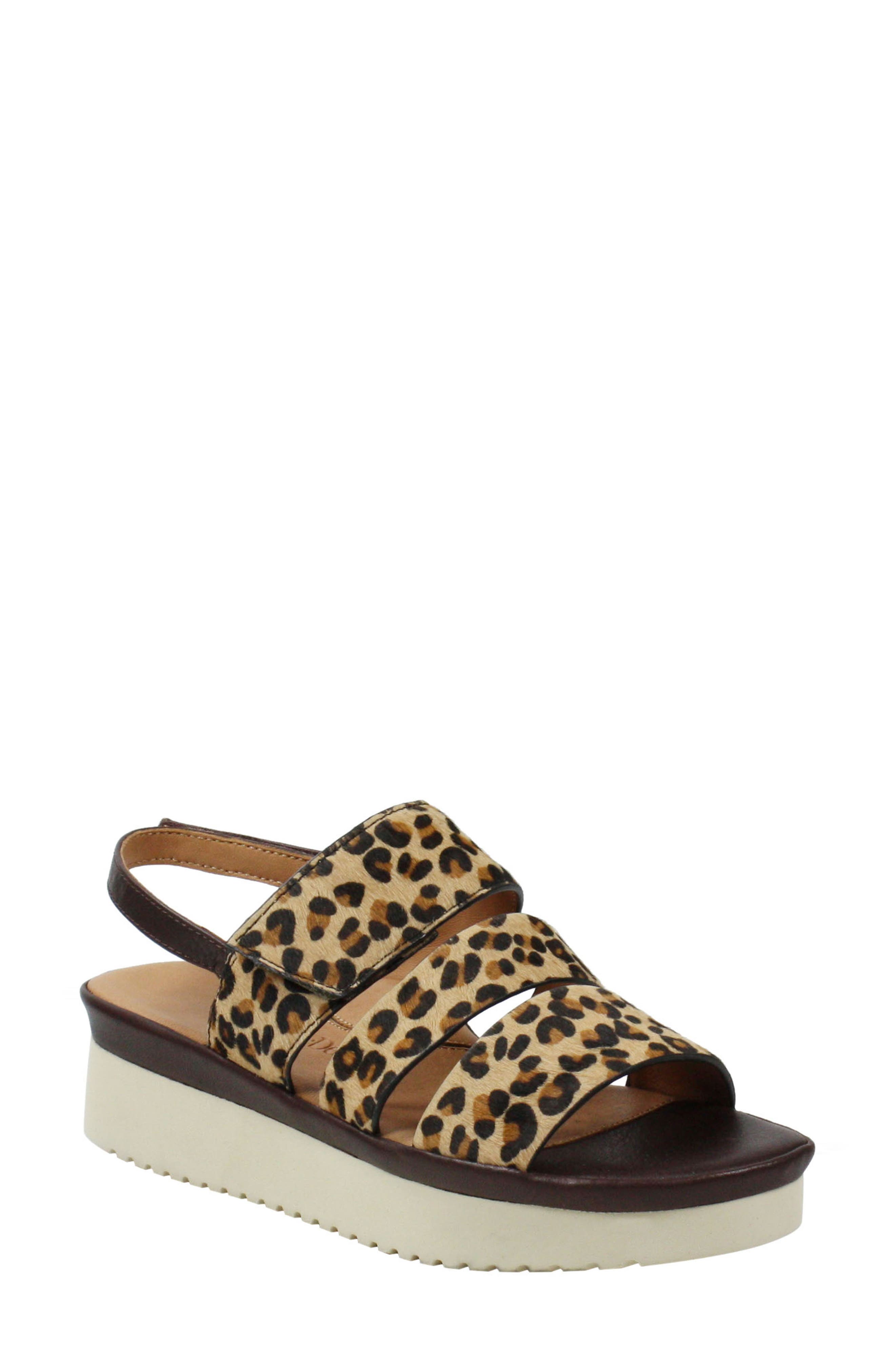 Amelcia Slingback Sandal, Main, color, LEOPARD PRINT CALF HAIR