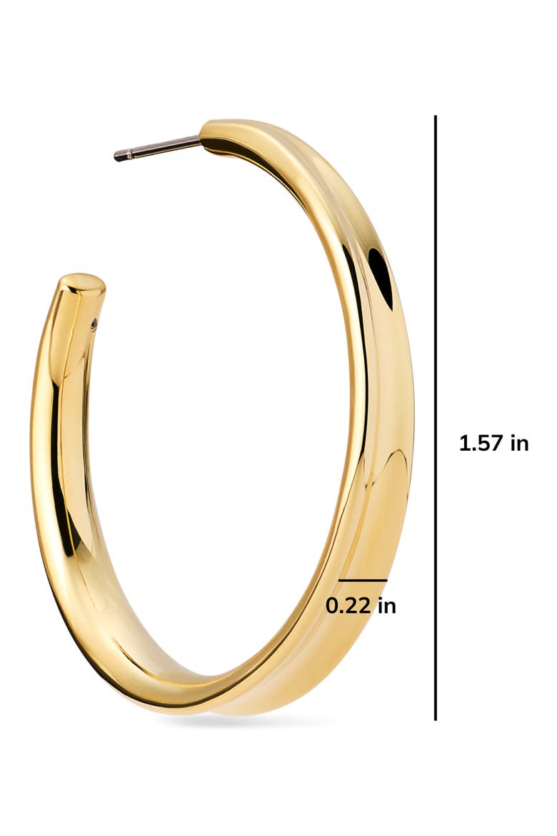 Wade Large Hoop Earrings, Alternate, color, GOLD