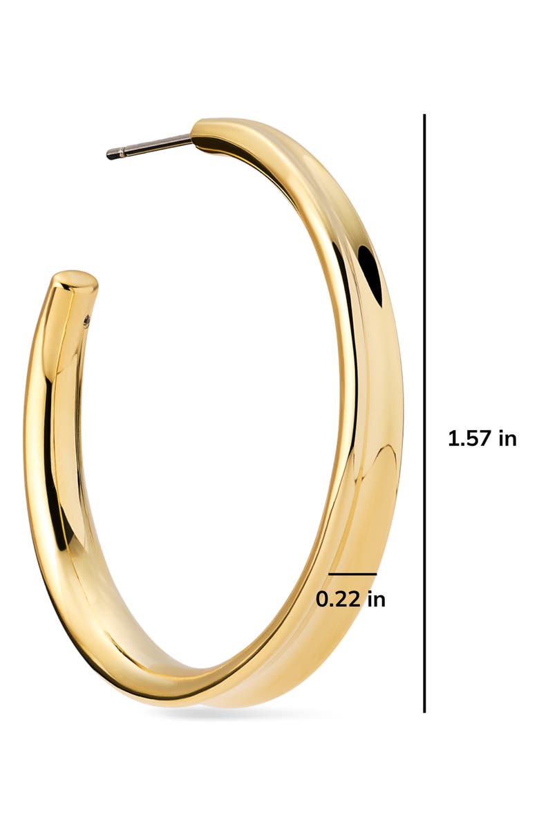 Ana Luisa Wade Large Hoop Earrings, Alternate, color, Gold