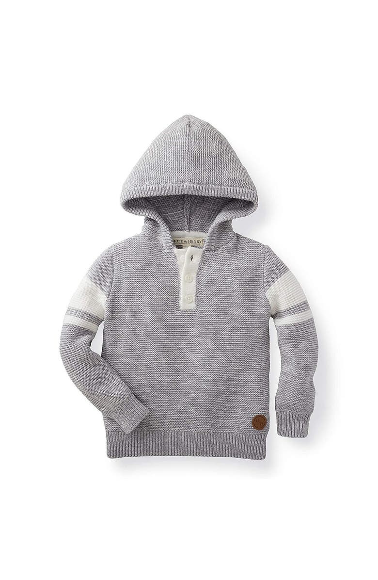 Hope & Henry Baby Boys' Hooded Pullover Sweater, Infant, Main, color,