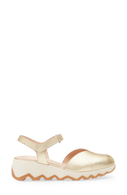 Wonders Samara Platform Wedge Pump In Max Platino