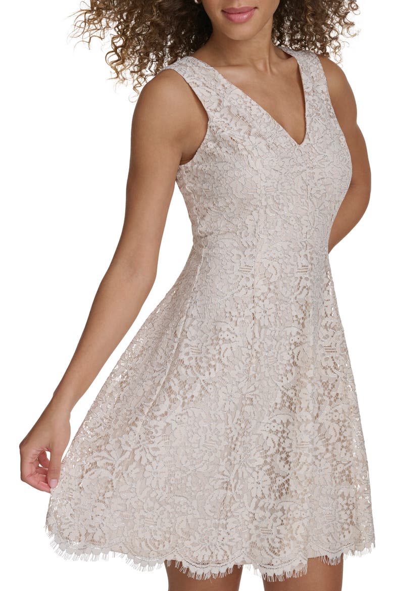 Metallic Lace Fit & Flare Dress, Alternate, color, PEARL / SILVER