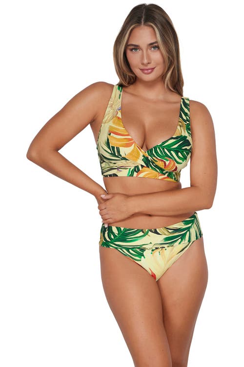 SUNSETS SUNSETS ELSIE BIKINI SWIMSUIT TOP