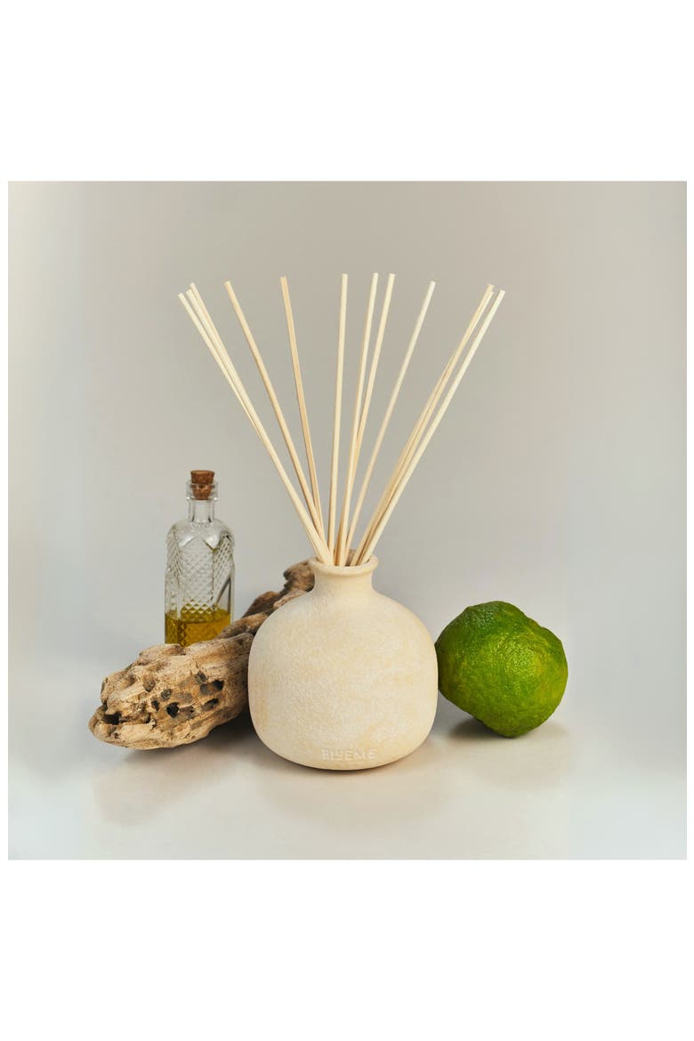 Nostalgia Small Ceramic Reed Diffuser, Alternate, color, NOSTALGIA