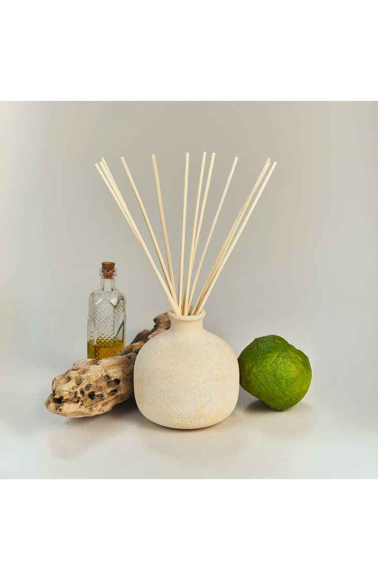 Blueme Nostalgia Small Ceramic Reed Diffuser, Alternate, color, Nostalgia