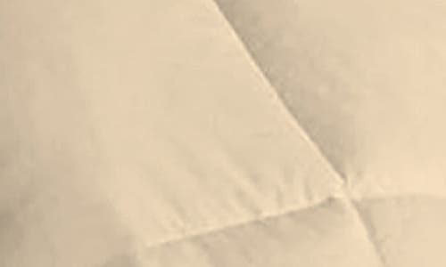 Shop Luxury Home Solid Cream Microfiber Comforter