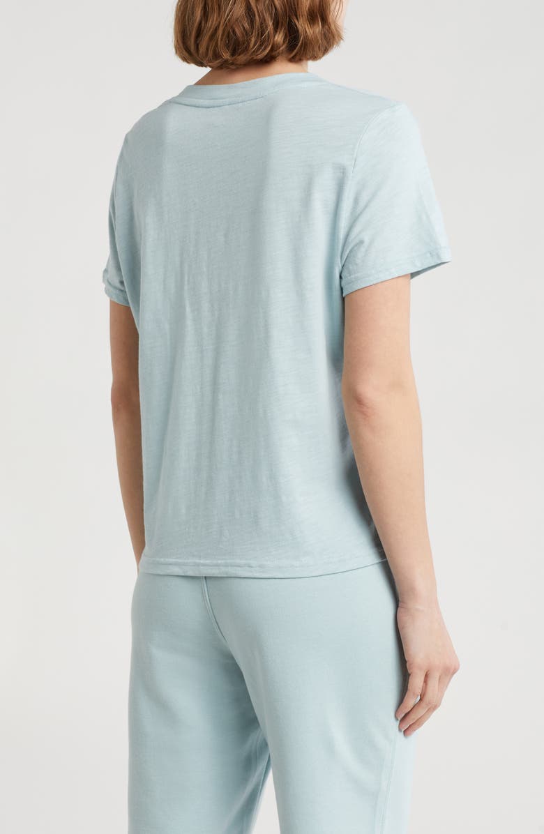 DKNY V-Neck Slub Jersey T-Shirt, Alternate, color, 