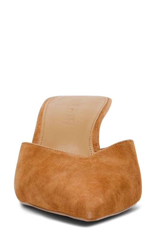 Steve Madden Mod Pointed Toe Mule Pump In Chestnut Suede