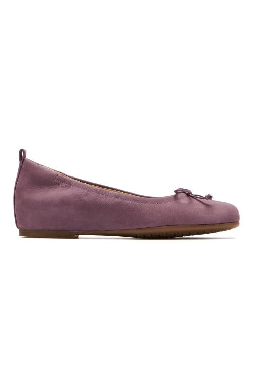 Abeo Cadence Bow Ballet Flat In Purple - Regular